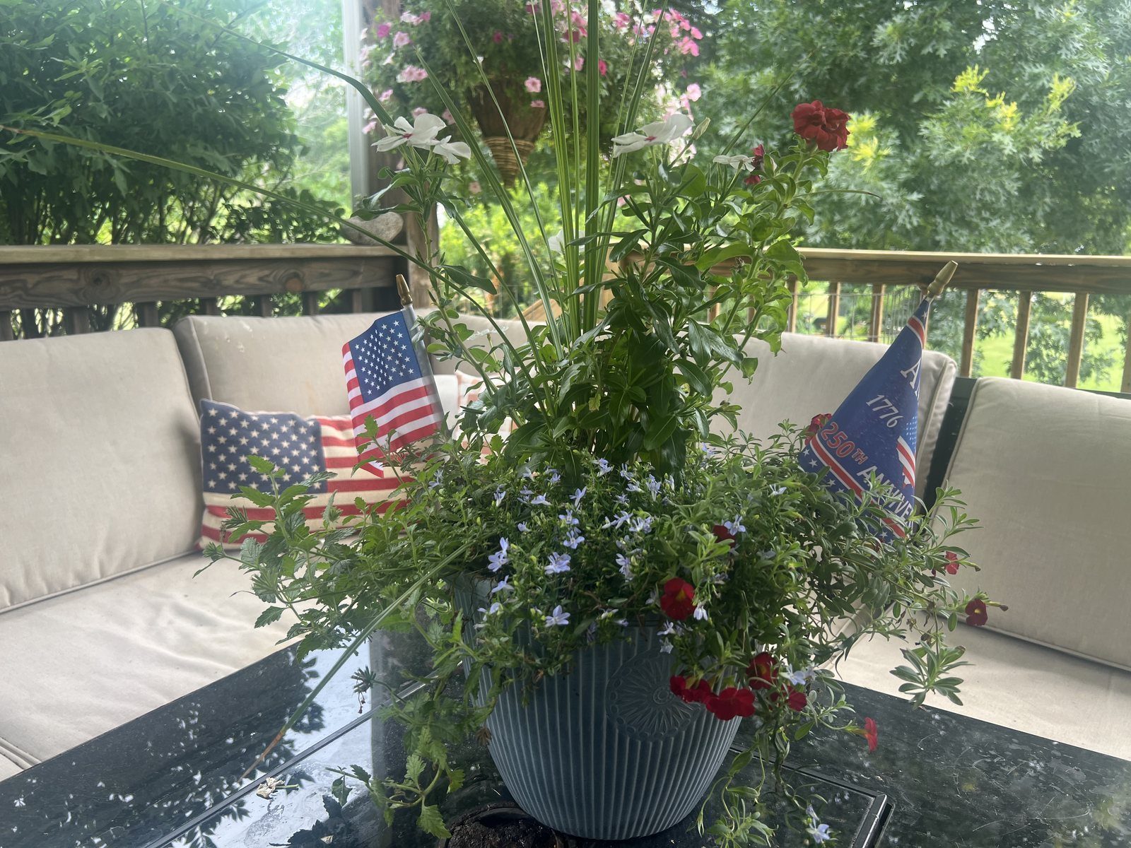 Mixed petunia hanging baskets